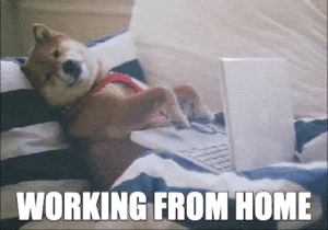 10 Tips for Staying Productive When Working From Home